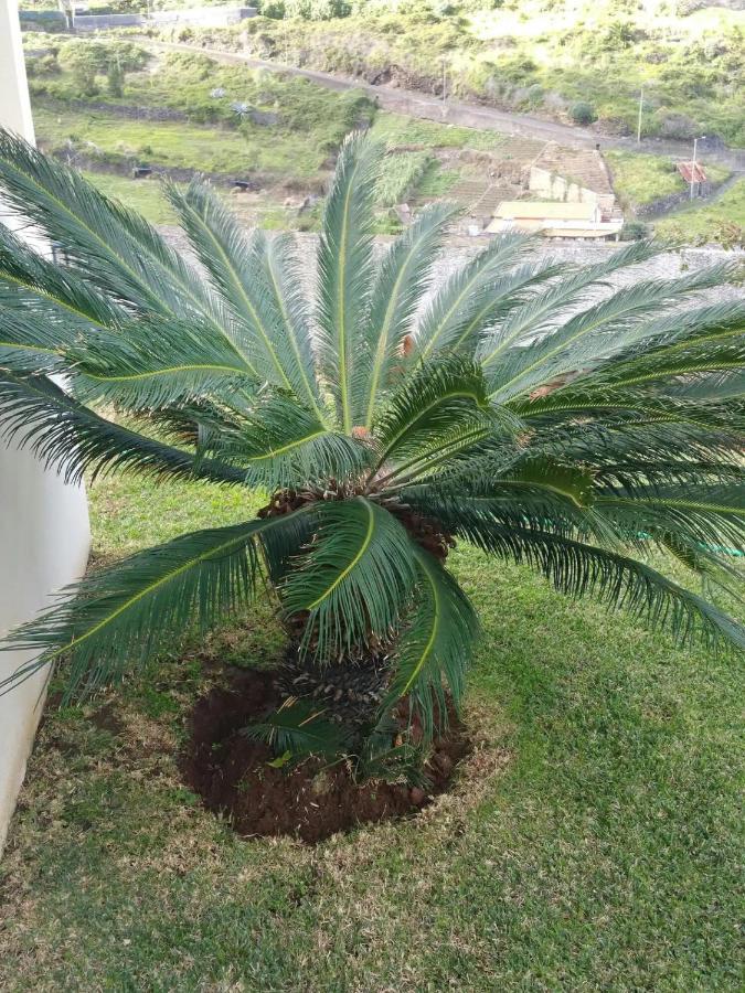 House Pc Villa Porto Da Cruz Ngoại thất bức ảnh